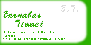 barnabas timmel business card